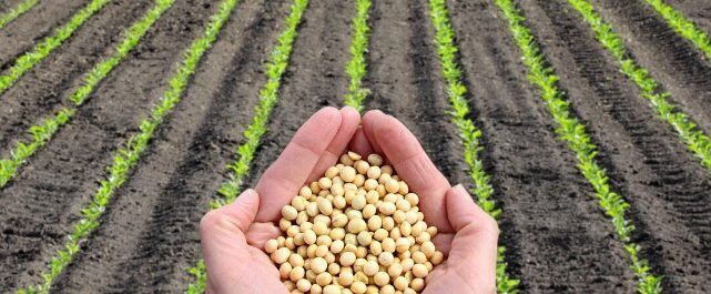 agricoltura veneto