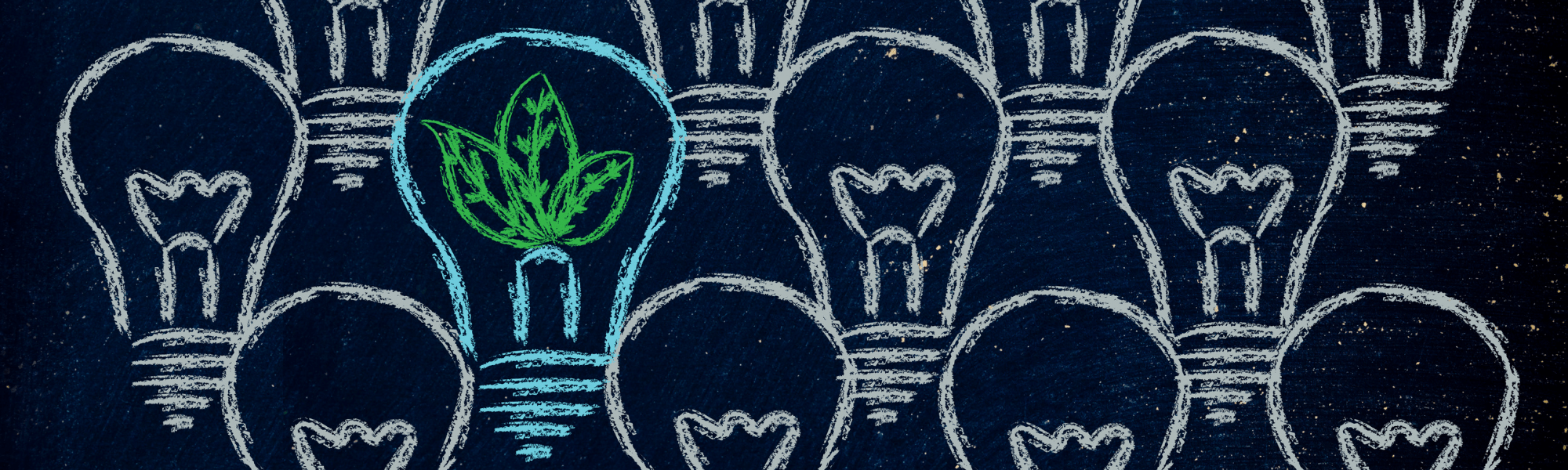 GREEN ECONOMY