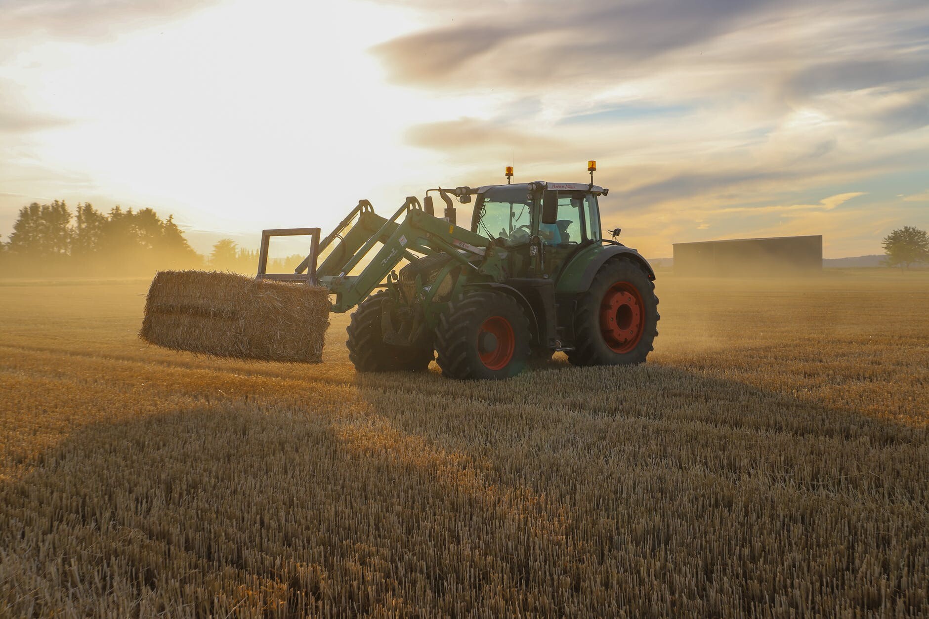 Imprese agroalimentari