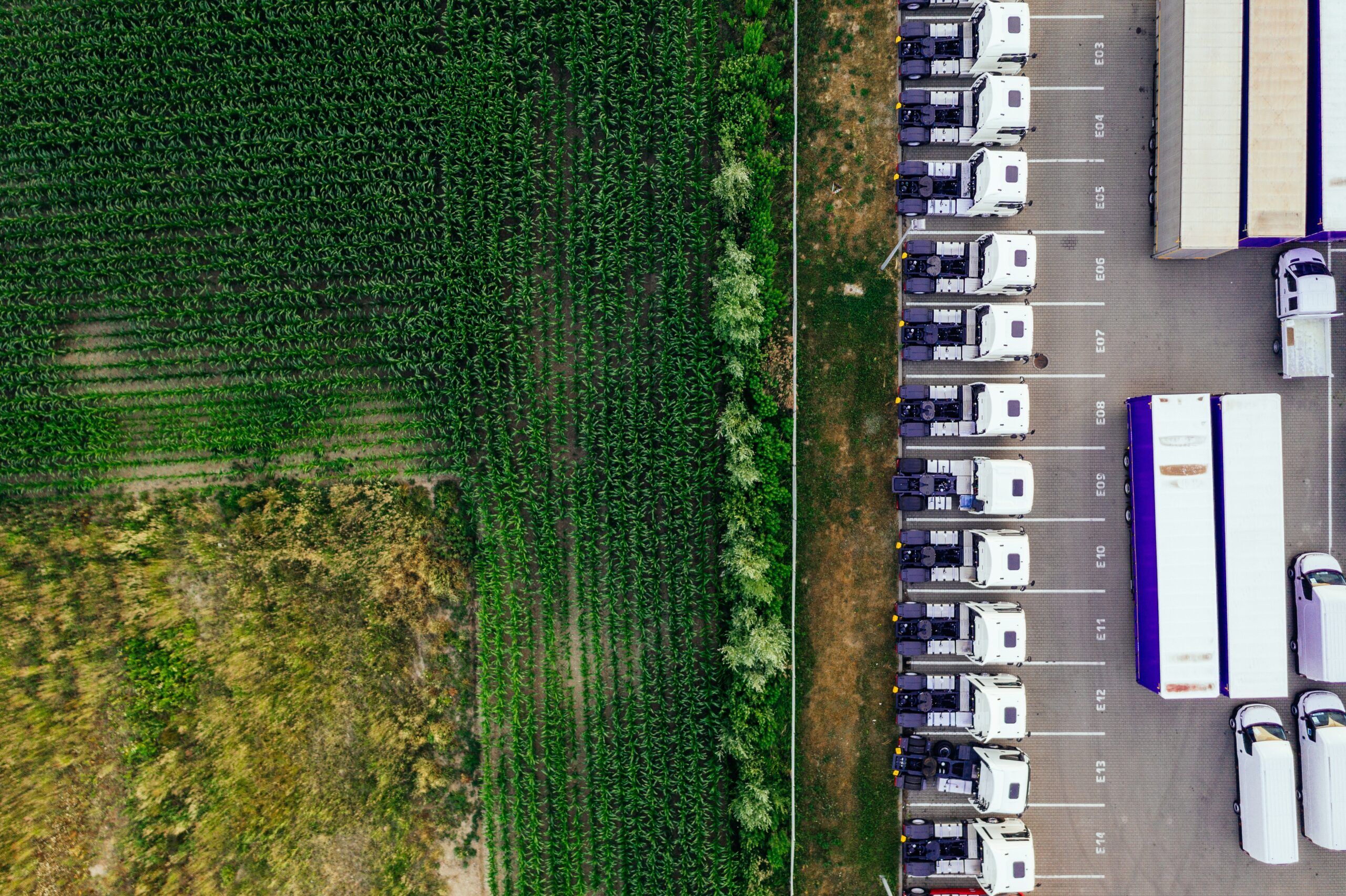 mobilità sostenibile