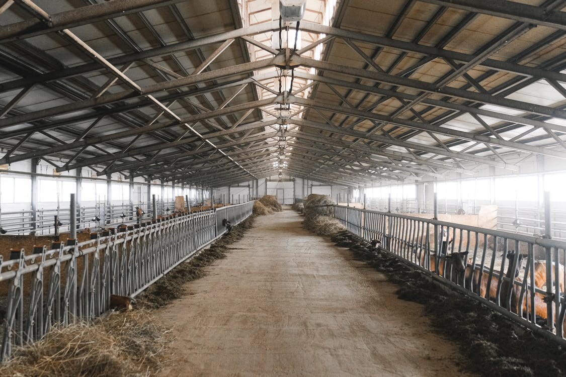 pnrr logistica agroalimentare