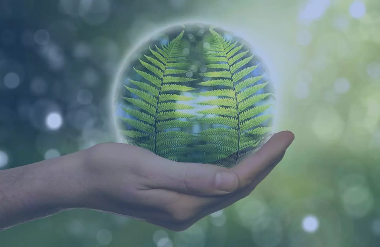 certificazioni ambientali