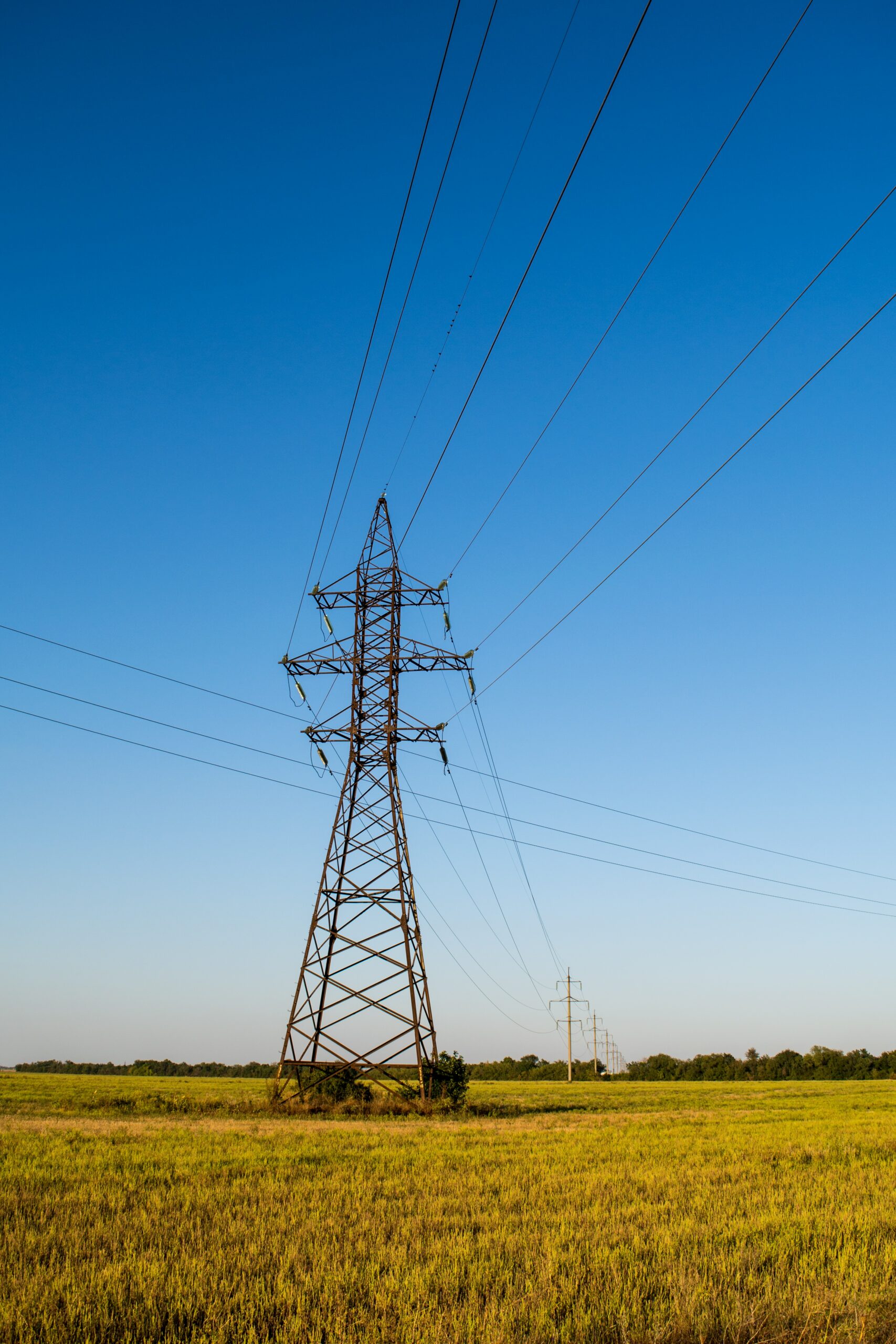 imprese energivore