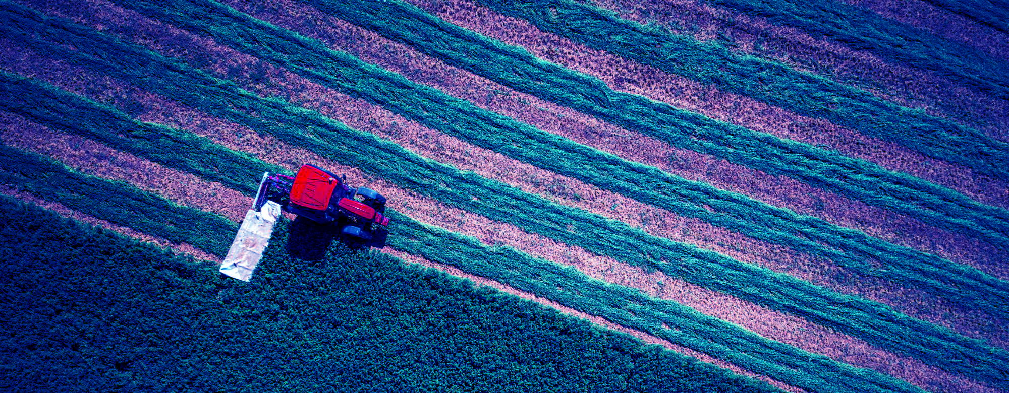 contributi agricoltura Emilia-Romagna PNRR