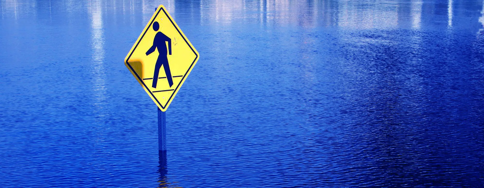 contributi alluvione