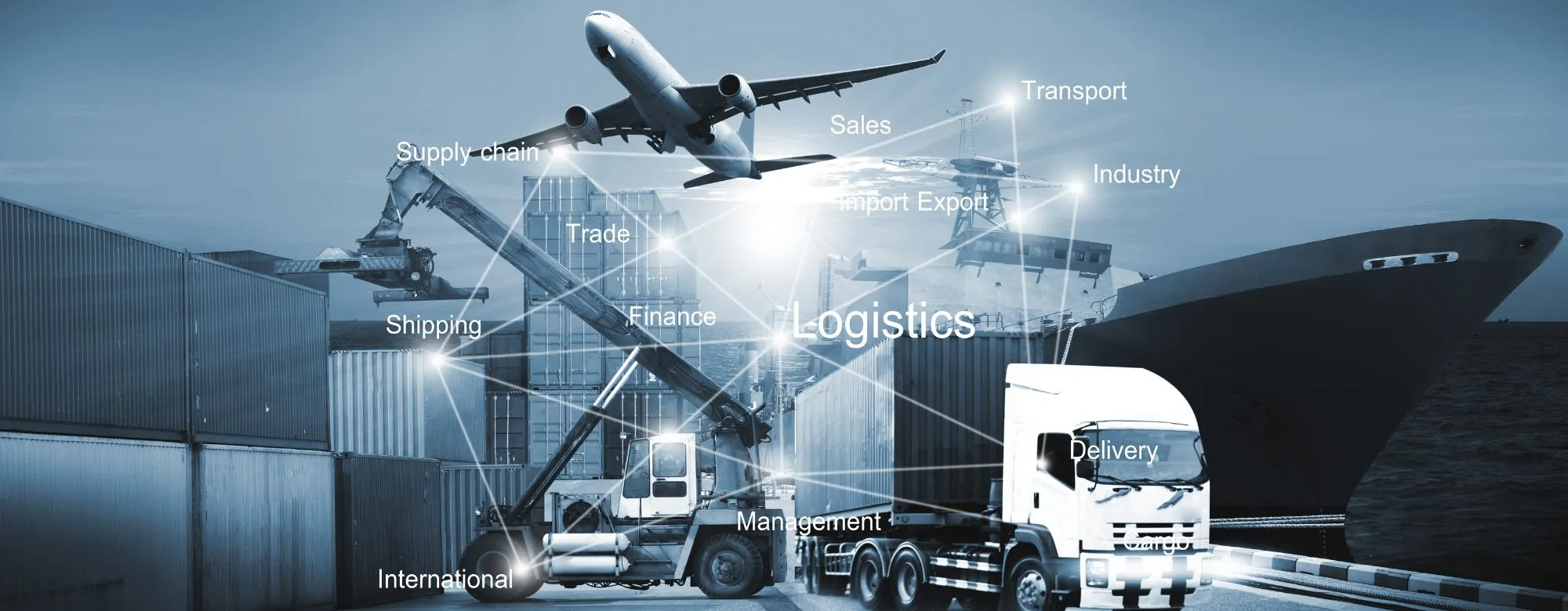 Bonus Export Digitale Plus 2024