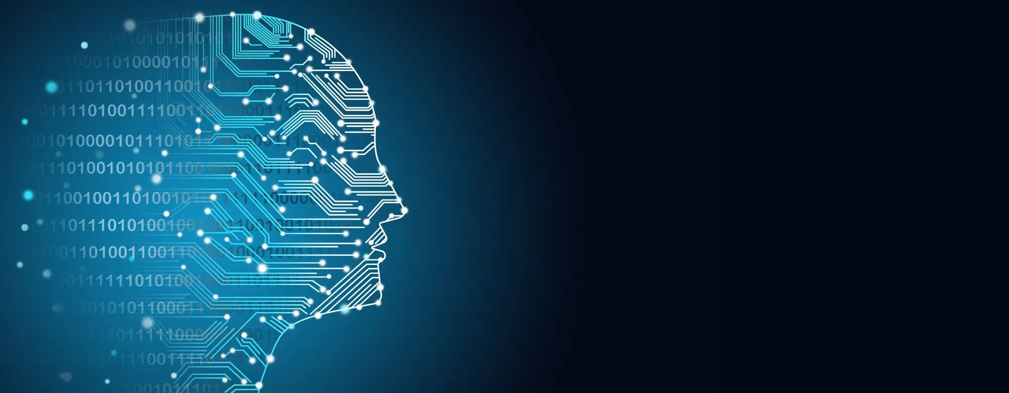 digitalizzazione PMI italiane dati Istat