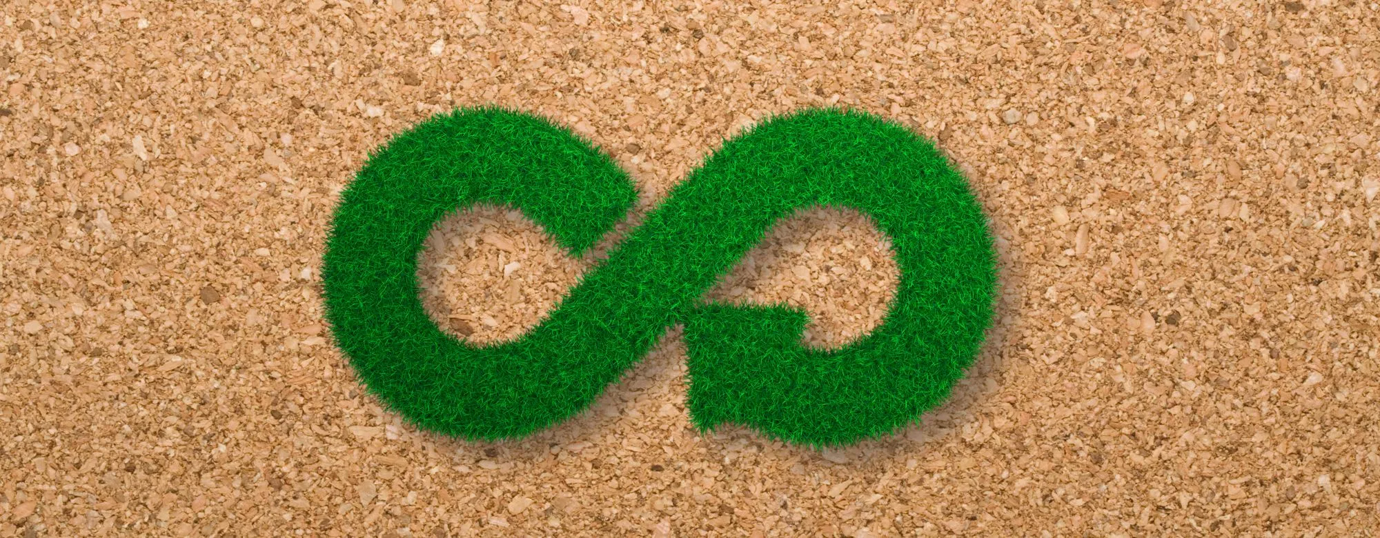 Bando Regione Veneto economia circolare