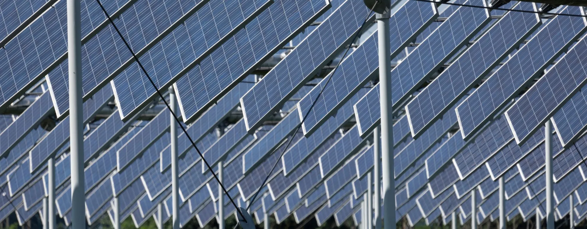 agrivoltaico bandi e regole mase