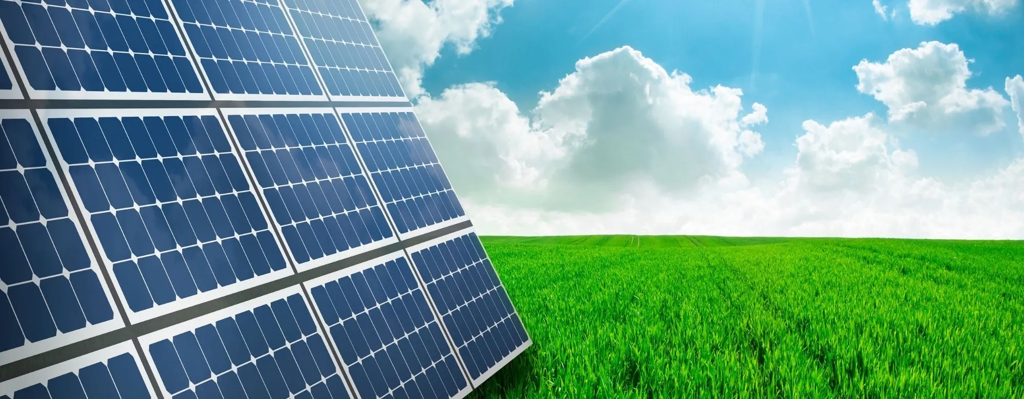 Bando CCIAA Torino Voucher Transizione Ecologica