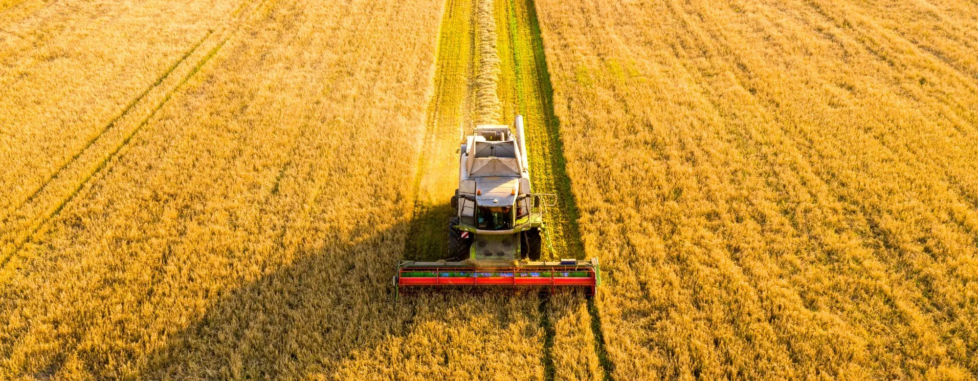 Credito imposta Mezzogiorno agricoltura pesca acquacoltura