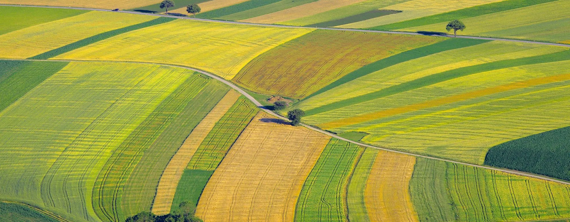 ZES Unica Agricoltura Mezzogiorno