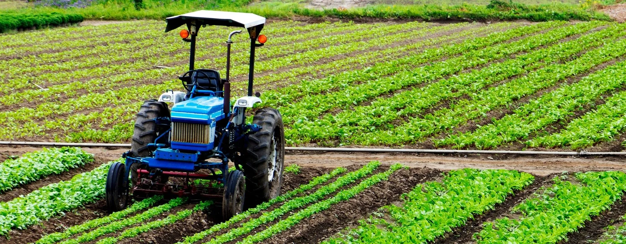 Nuovo regolamento de minimis agricolo