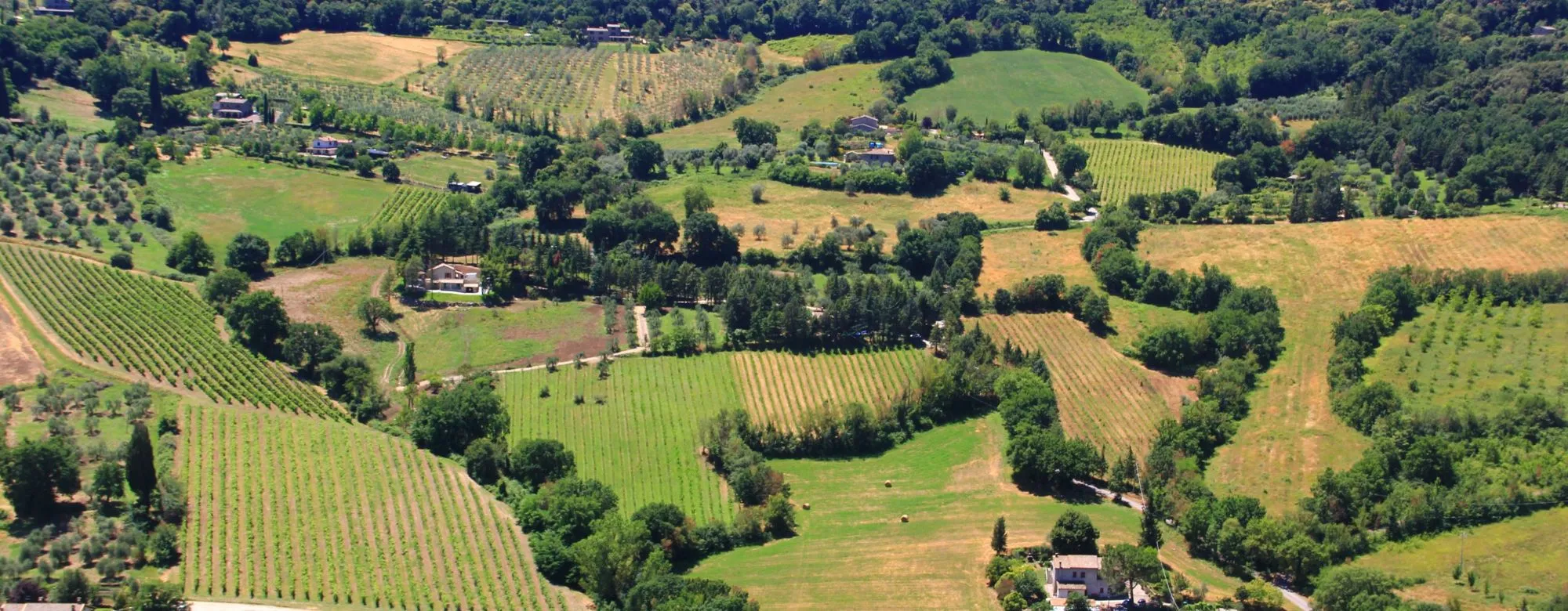 Bando Sostenibilità Umbria 2025