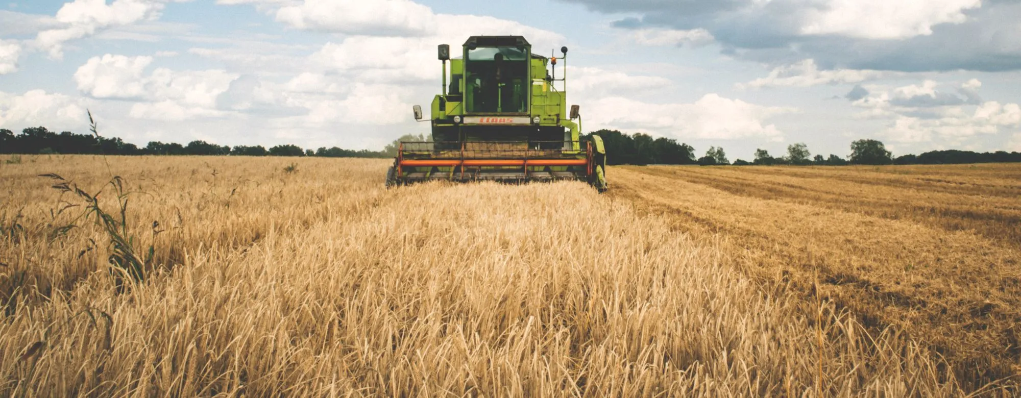 bandi agricoltura 2025