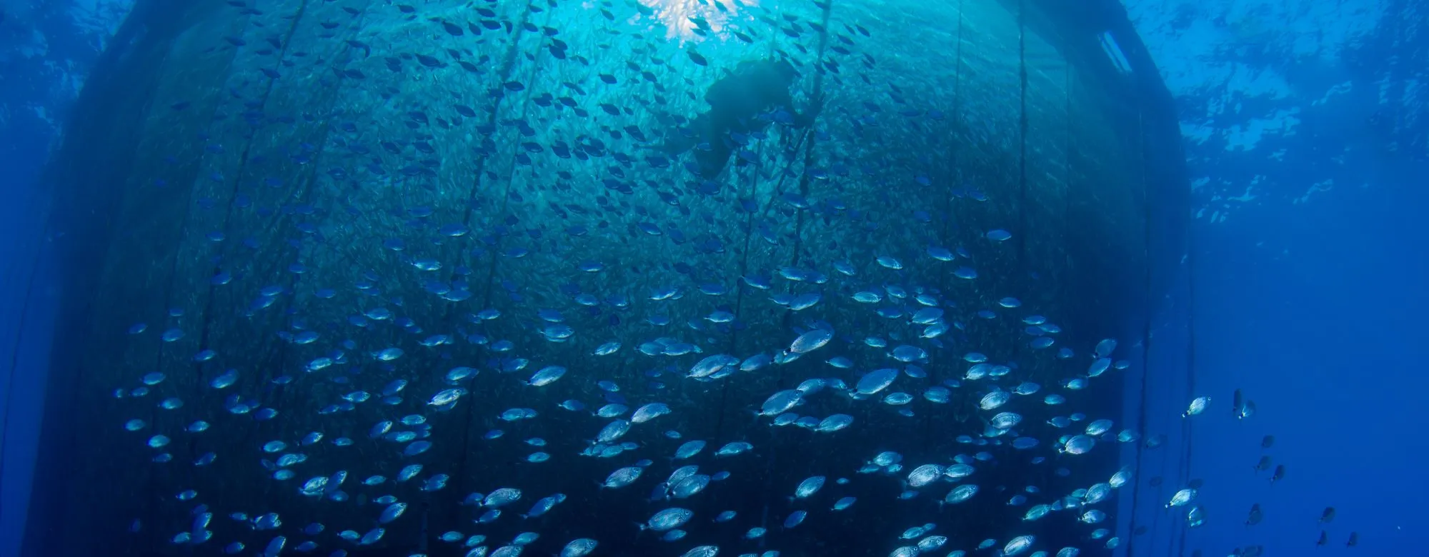 regime de minimis pesca e acquacoltura