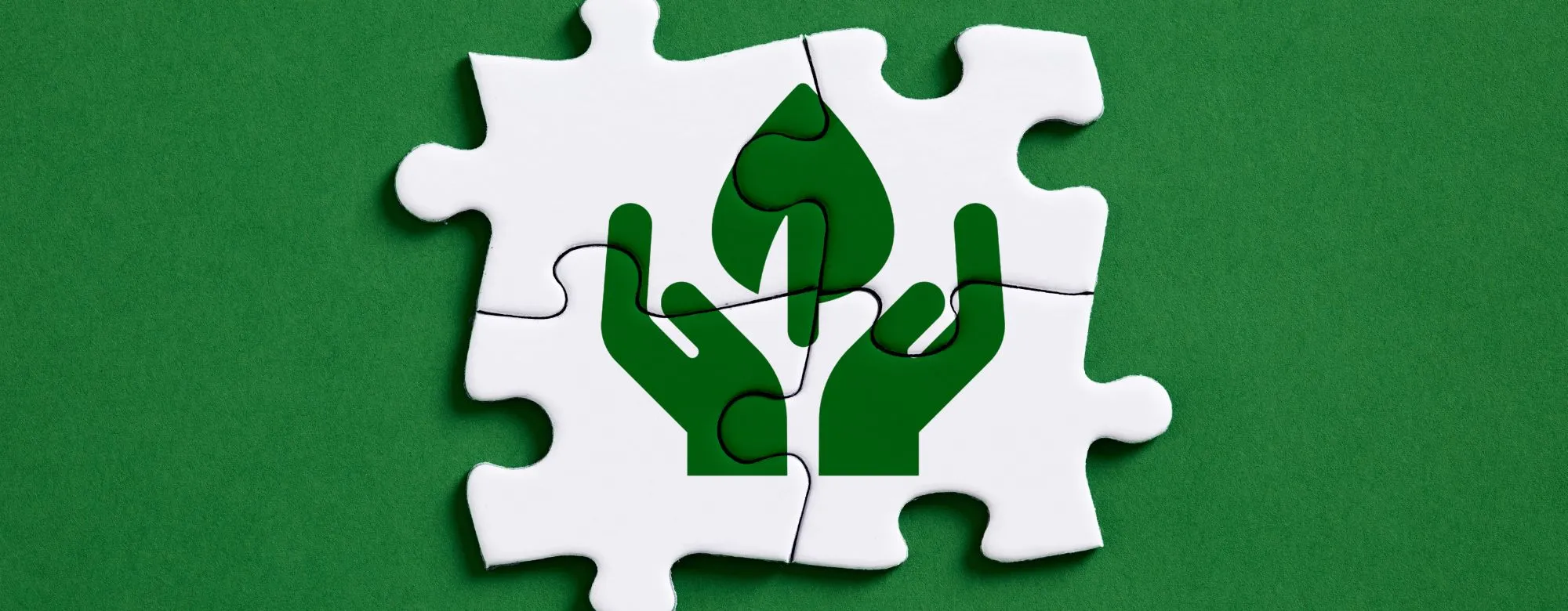 Ecolabel come funziona etichetta vantaggi