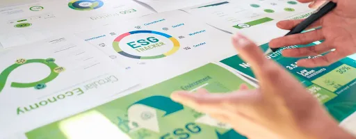 Reporting Esg