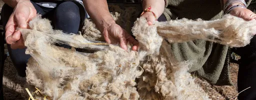 bando Sardegna contributi imprese artigiane