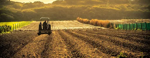 Credito Imposta 4.0 Agricoltura 2026