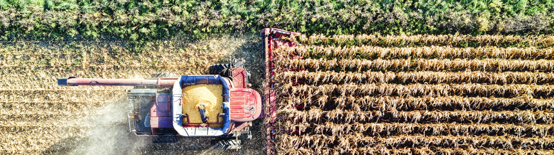 ZES Unica, ZLS ZES Agricoltura