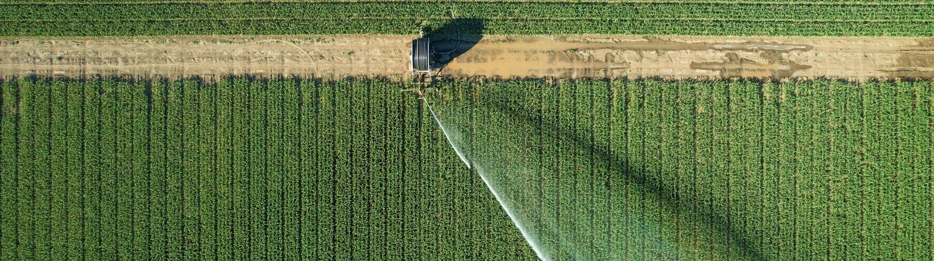 Credito d'imposta ZES Agricoltura 2026 Marche Umbria