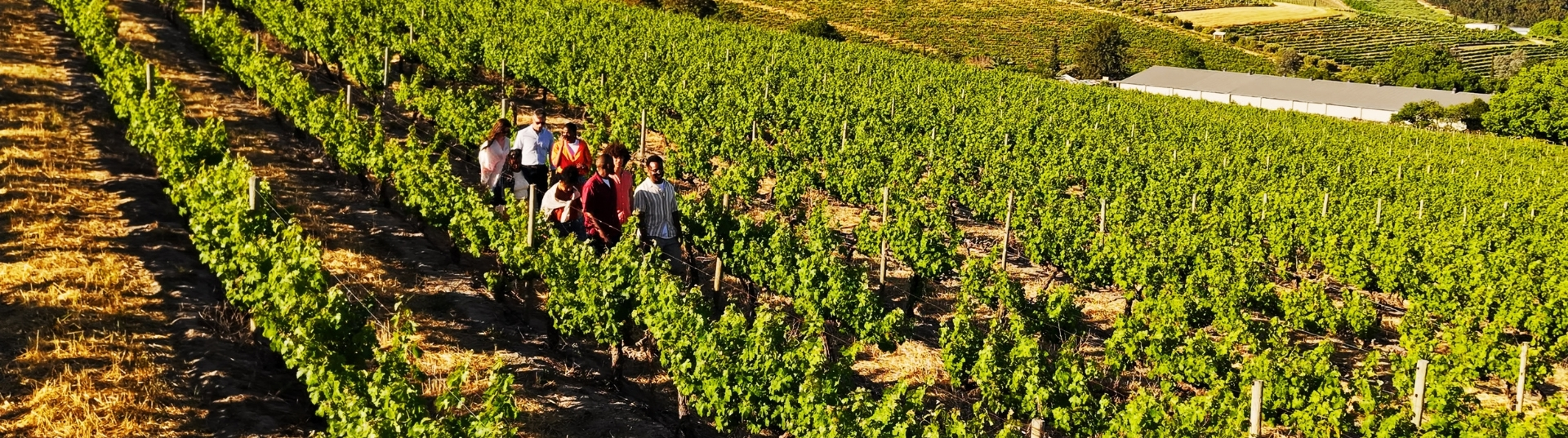 Fondo Sostegno Imprese del Turismo Green Tour