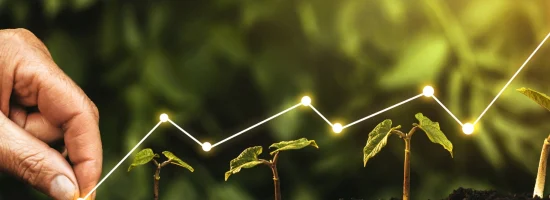 Fondo per la crescita sostenibile